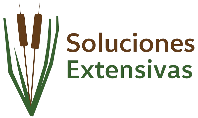 Logotipo Soluciones Extensivas